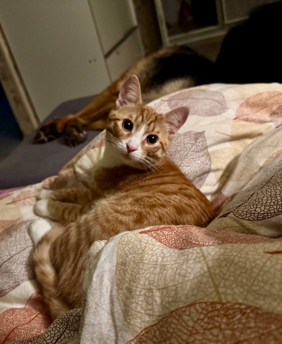 Дожил! Написать про меня наконец-то решились!