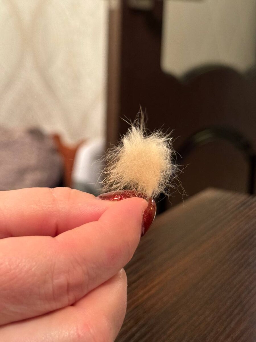 Привет от кроля!