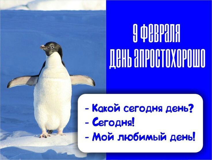 Яндекс Открытый источник 