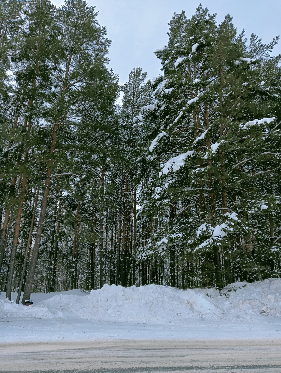 Вот такая там красота