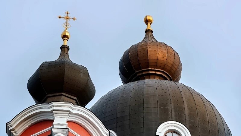      Фото: @frimufilms / ru.freepik.com