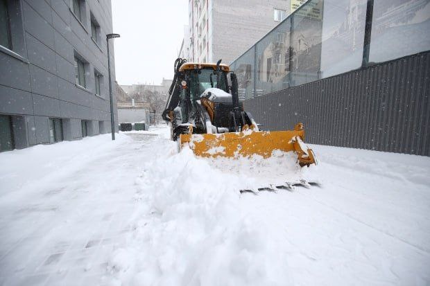 Фото взято из открытых источников в сети Интернет.