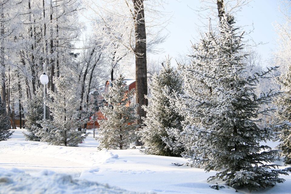    Зима в Барнауле. Снег. Погода.. Источник: Виталий Барабаш