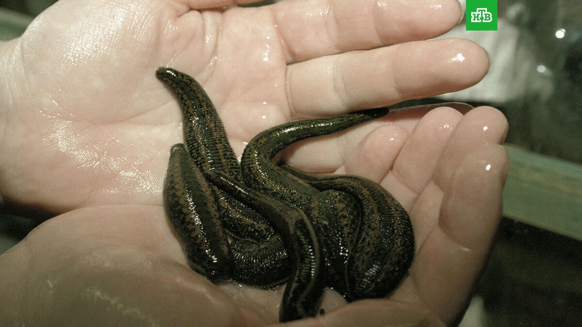    Фото: РИА Новости © 2026, Олег Ласточкин