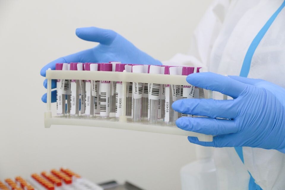    Пробирки с кровью на анализ. Источник: Олег Укладов