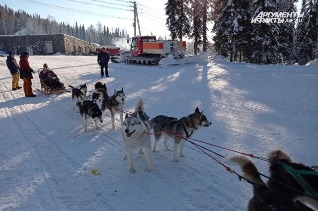    Фото: kuzbass.aif.ru/ Анна Иванова