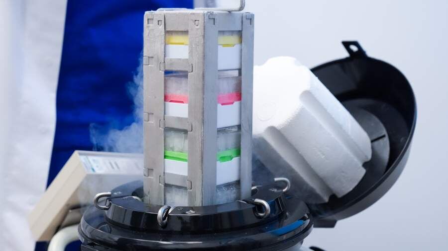    Фото: ИЗВЕСТИЯ/Эдуард Корниенко