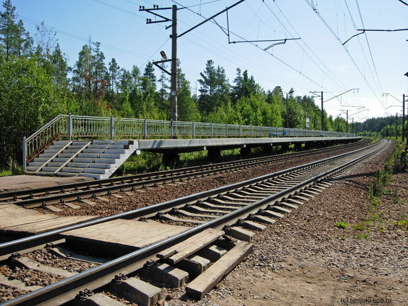 Лемболово. Платформа № 1 (направление от Санкт-Петербурга). Фото: Д. Верёвкин, 14.08.2012 г.