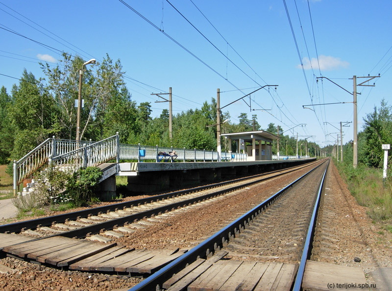 Лемболово. Платформа № 2 (направление к Санкт-Петербургу). Фото: Д. Верёвкин, 14.08.2012 г.