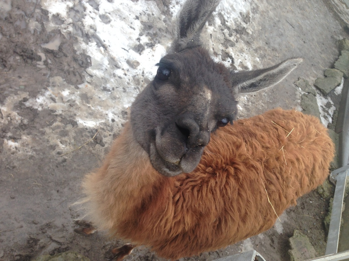     / Источник: Булатова Екатерина © ИА REGNUM