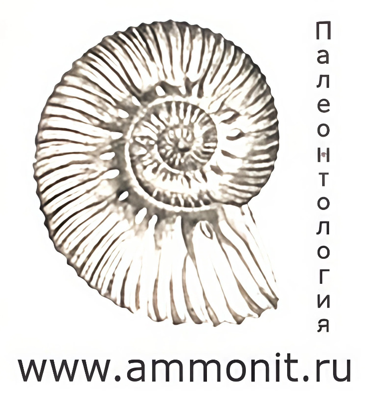 Логотип сайта