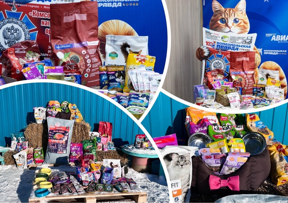    Вместе с кормом участники проекта передавали амуницию, миски и даже трогательные записки волонтерам. Любовь ЛАНЧЕВА