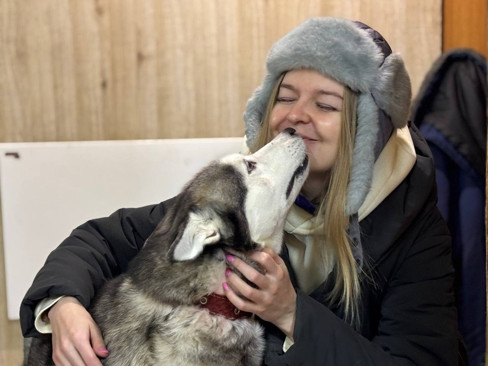    Редактор КП-Челябинск Ирина Фадюшина и хаски Дарина Светлановна. Юлия МИТЮГОВА