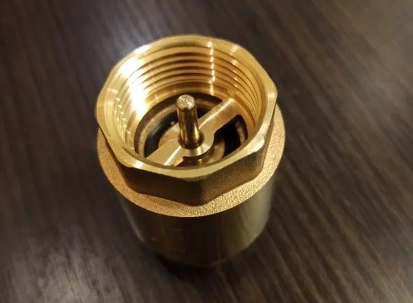 Обратный клапан PROFLINE с латунным штоком.