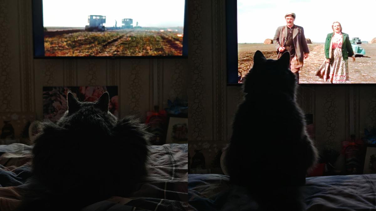 Фото автора канала.