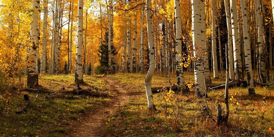 Ради чего терпеть