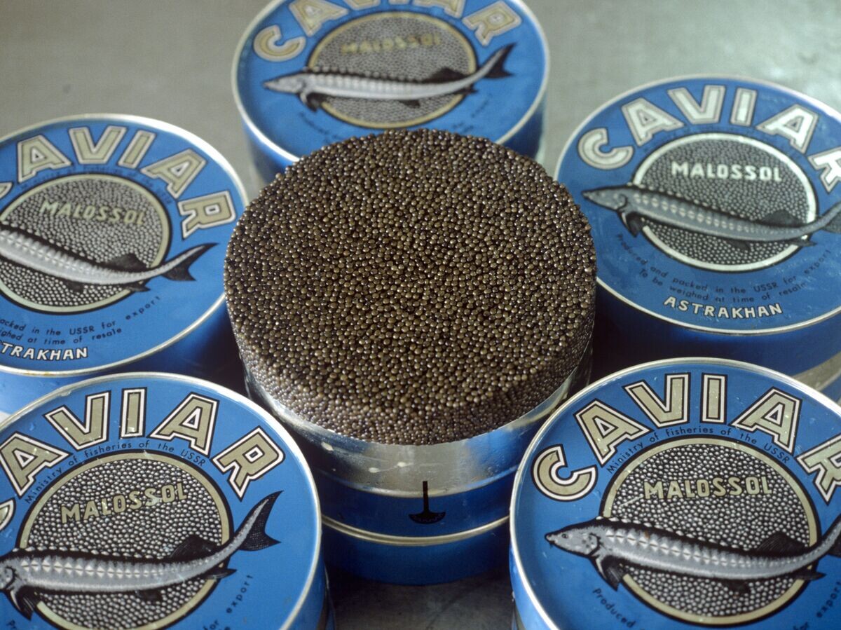    Икра осетровых рыб - продукция Астраханского икорно-балычного завода. Архивное фото | © РИА Новости / Борис Бабанов