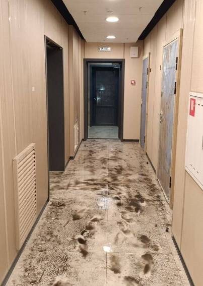    Источник фото: vl.ru