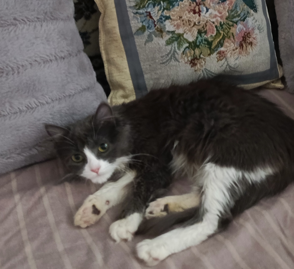 Фото автора