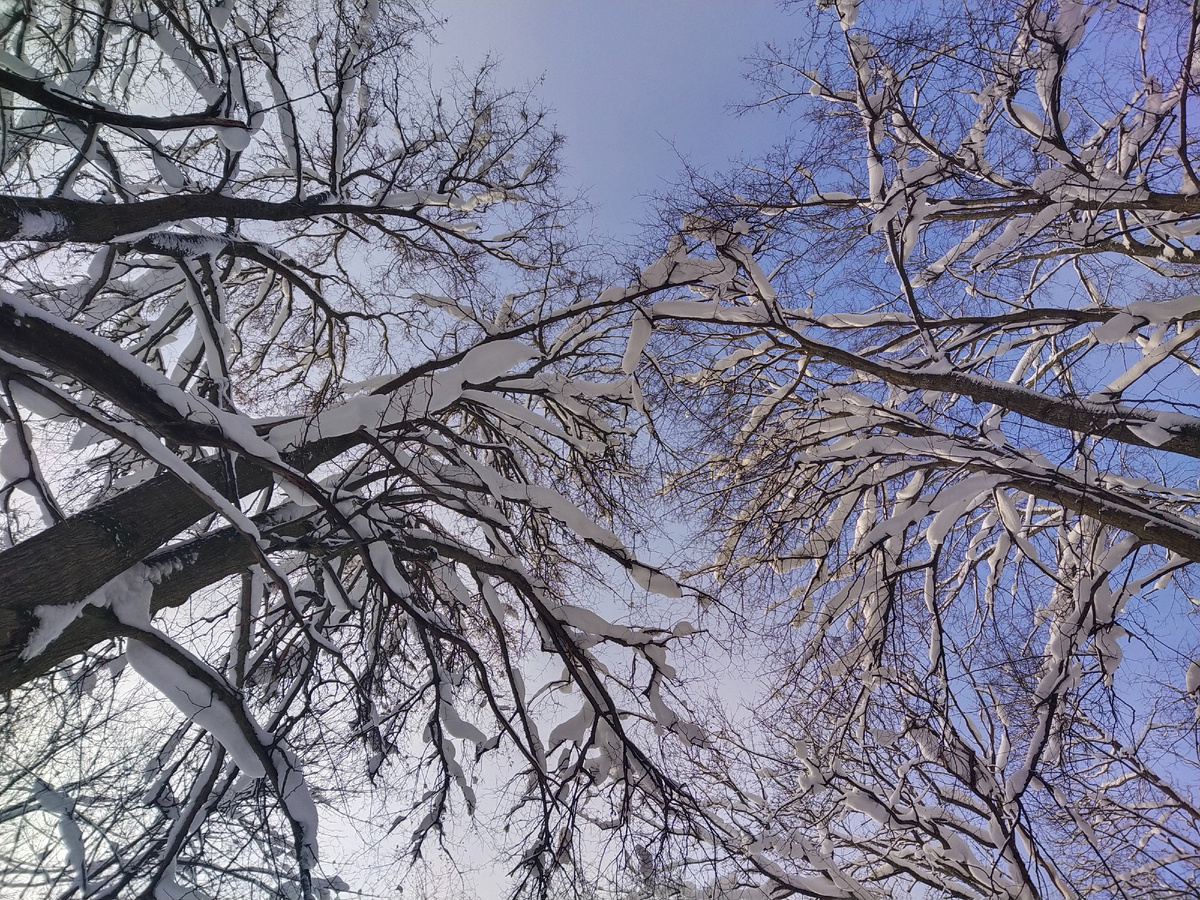 Личное фото