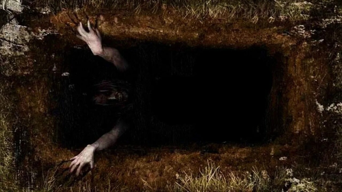 Изображение взято из открытых источников интернета. 