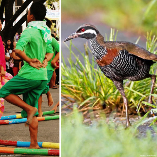 Очень быстрые ноги, которая птица успевает выдернуть и выпрыгнуть