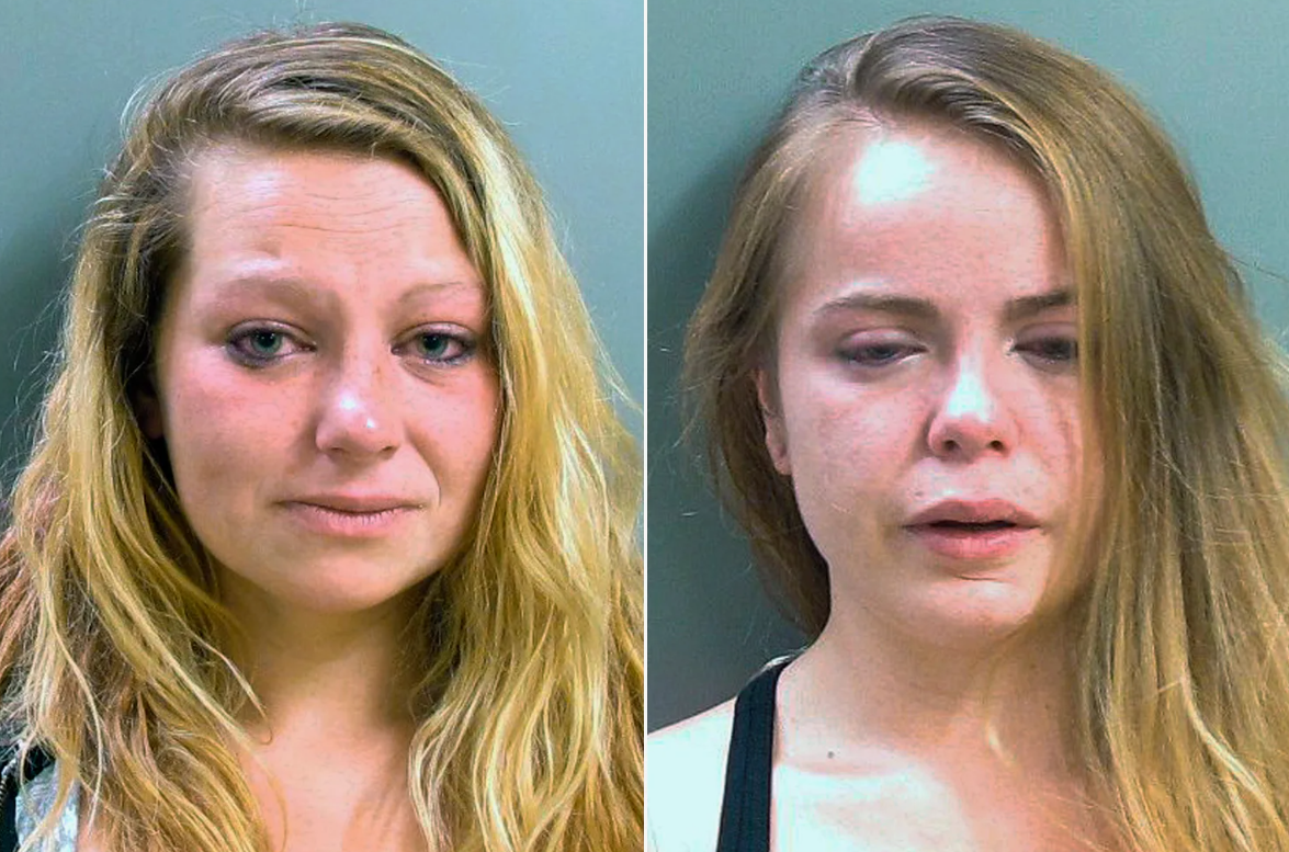 Фото из открытых источников 