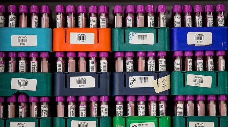     Их производство осваивают в России