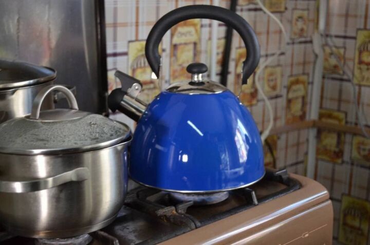    Фото:khabkrai.ru