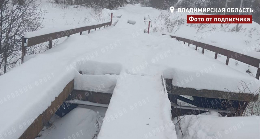    Фото: Народный фронт