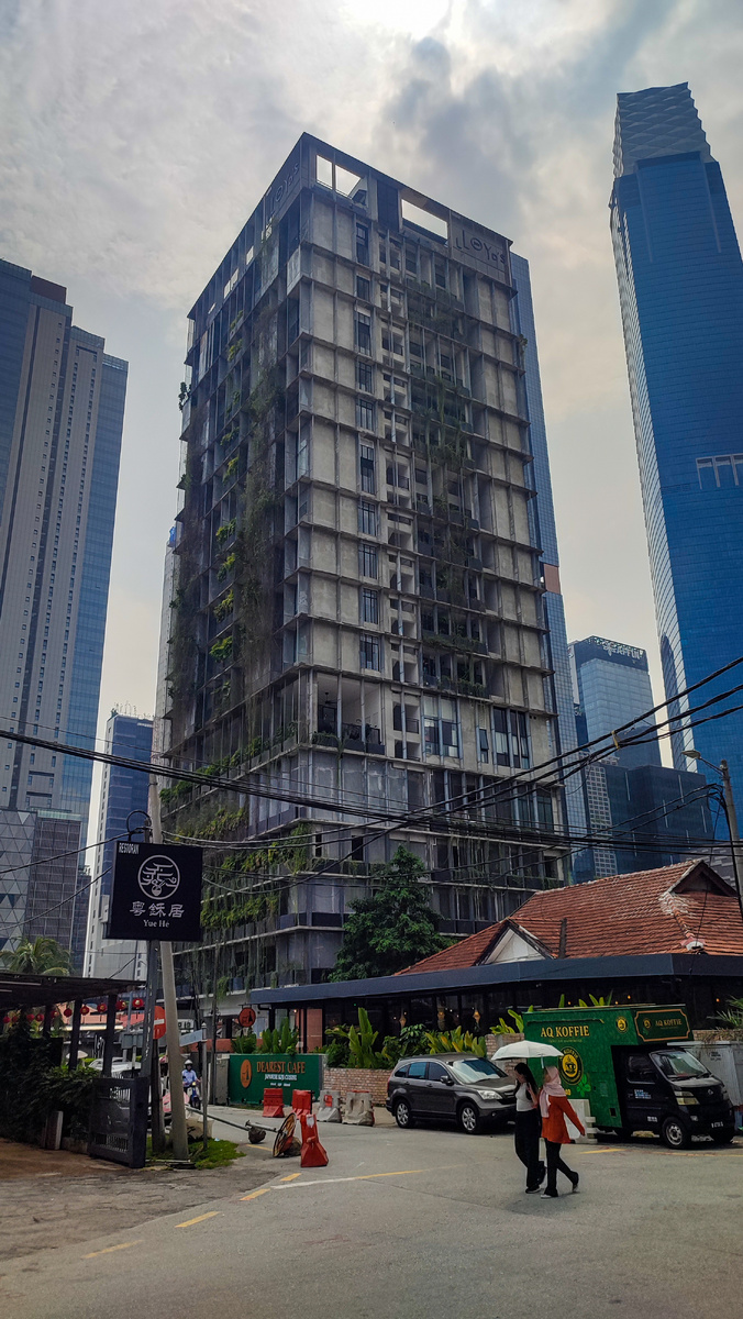 По дорогу в ТЦ. Заросший дом.