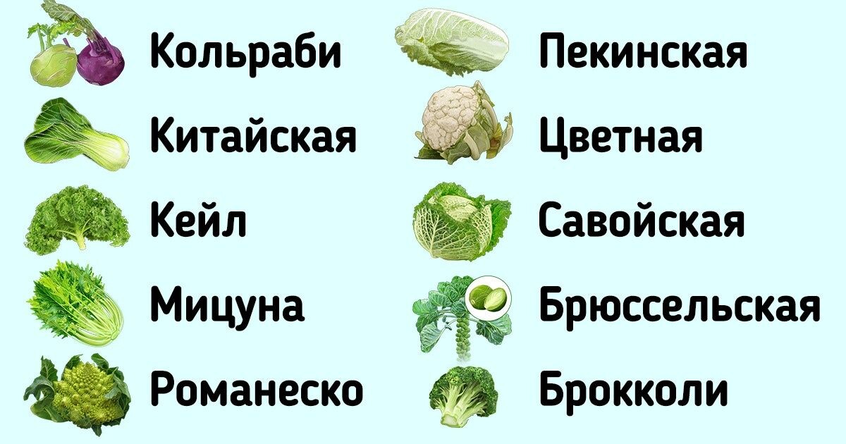 Вот такие виды капусты сейчас селекционировал человек! Фото из открытого доступа