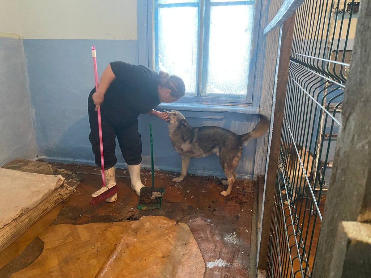 Шура убирает дом. Серый помогает. 