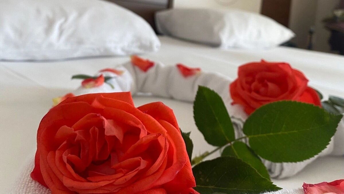   Юлия Литвиненко / mkset.ru