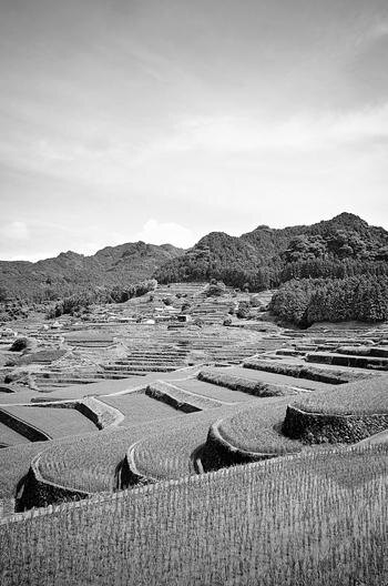 Из электронной книги