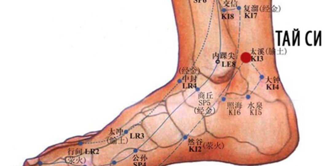 Точка долголетия, она напрямую связана с жизненной силой