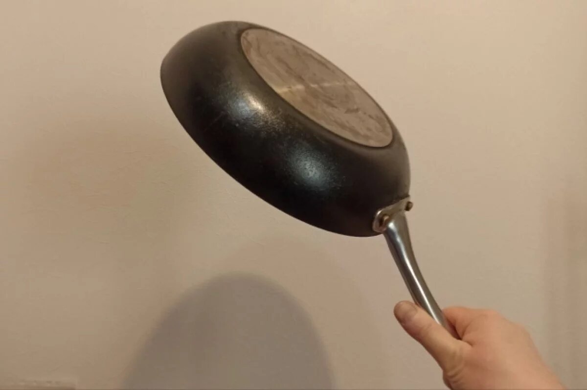    Суд отклонил апелляцию женщины, забившей кота сковородкой в Приморье