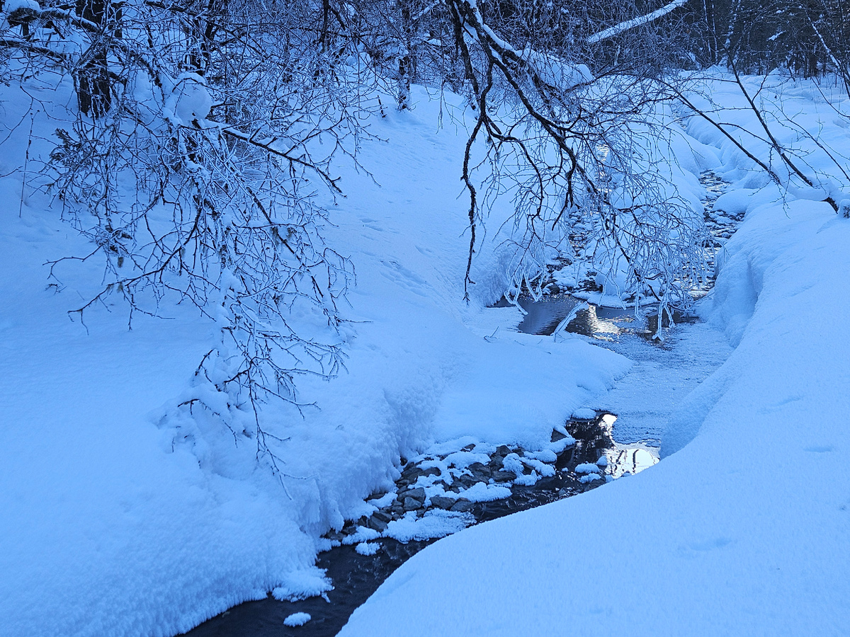 Таёжная родниковая речушка.