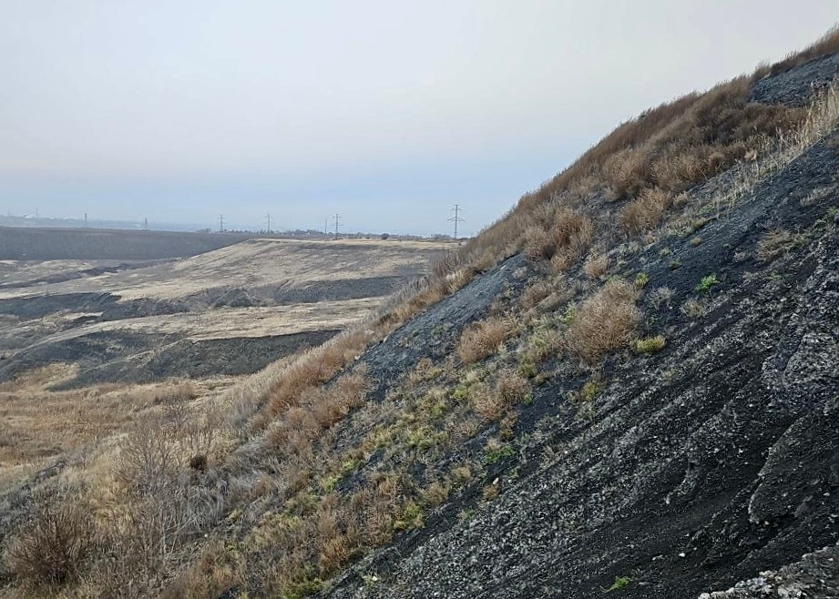    Фото Минприроды Самарской области