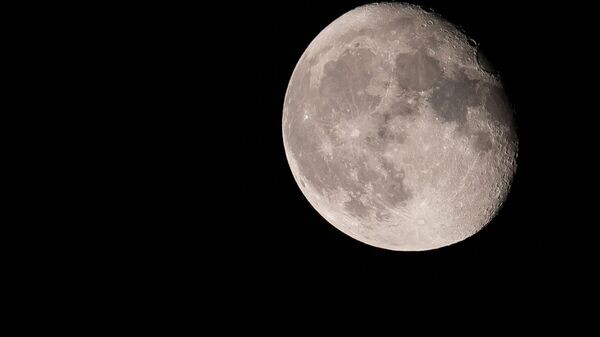    © Sputnik / Табылды Кадырбеков