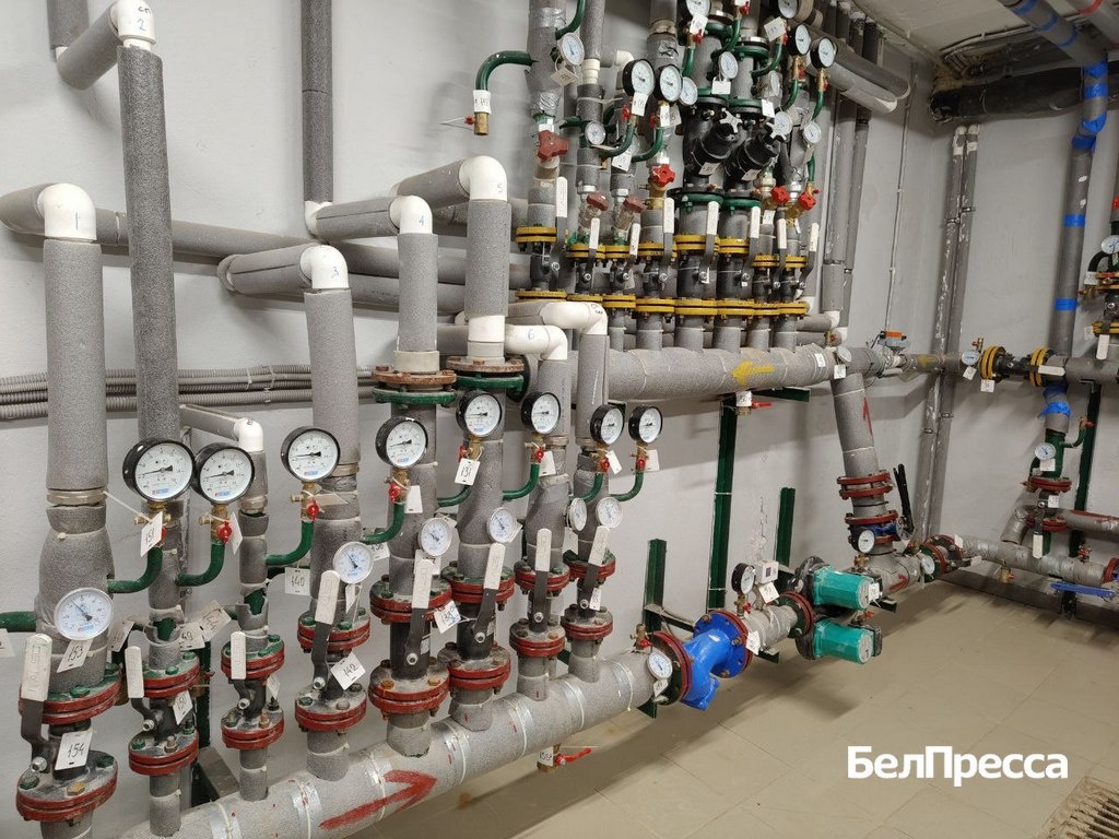     Фото: Маргарита Грачёва (архив)