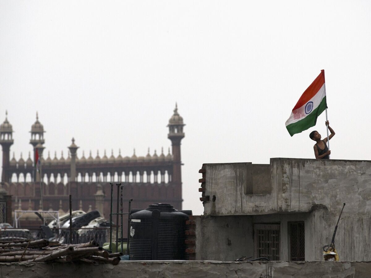    Мальчик держит флаг Индии в Нью-Дели | © AP Photo / Tsering Topgyal