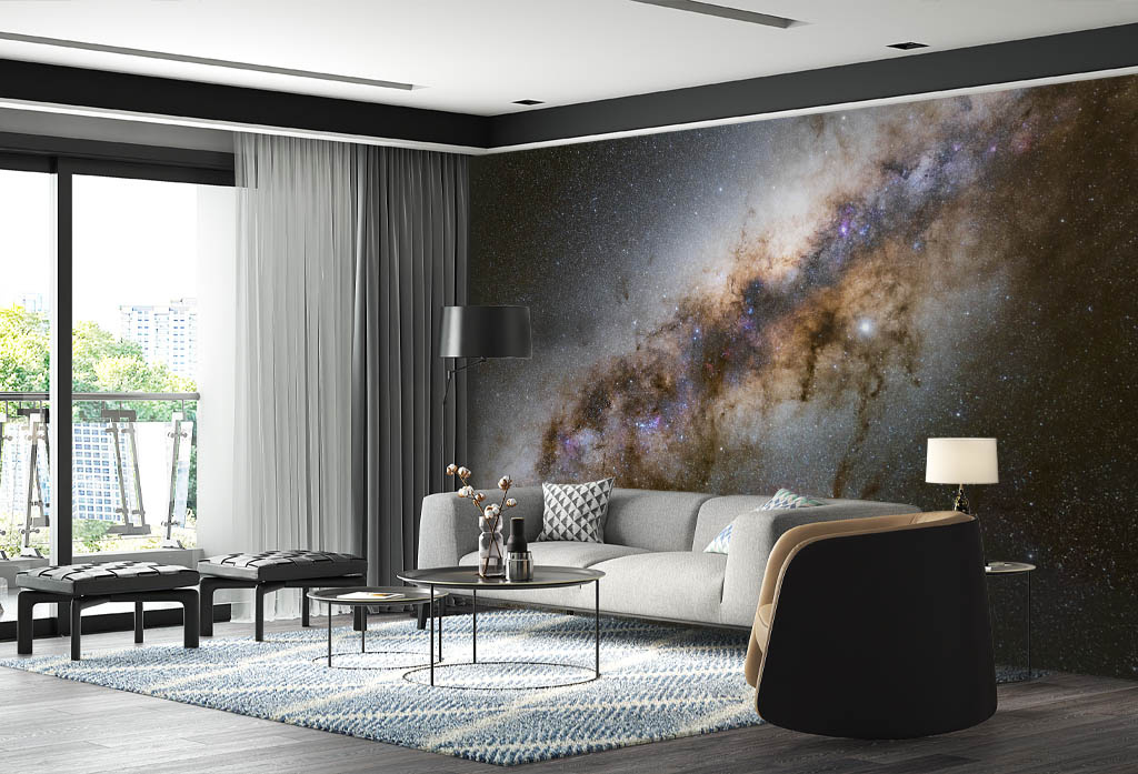 Ссылка на изображение: https://art-fresco.ru/catalog/zvyezdnoe_nebo/Zv-019?sphrase_id=114638