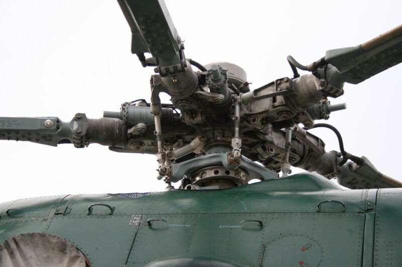     / Источник: (cc) Roberta F