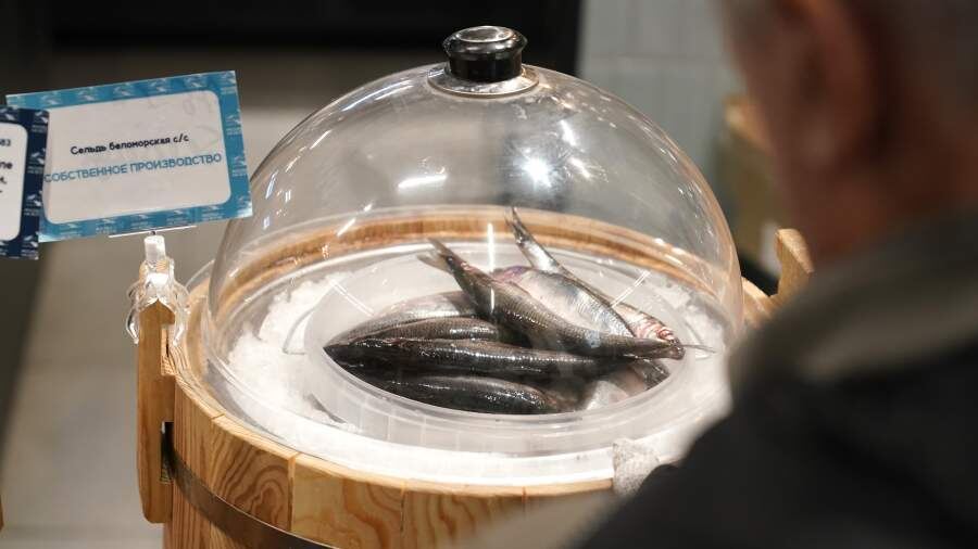    Фото: ИЗВЕСТИЯ/Эдуард Корниенко