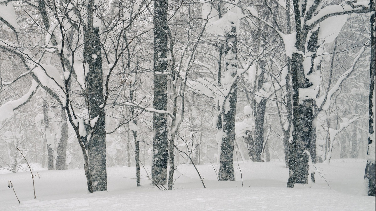    Фото с сайта pixabay.com