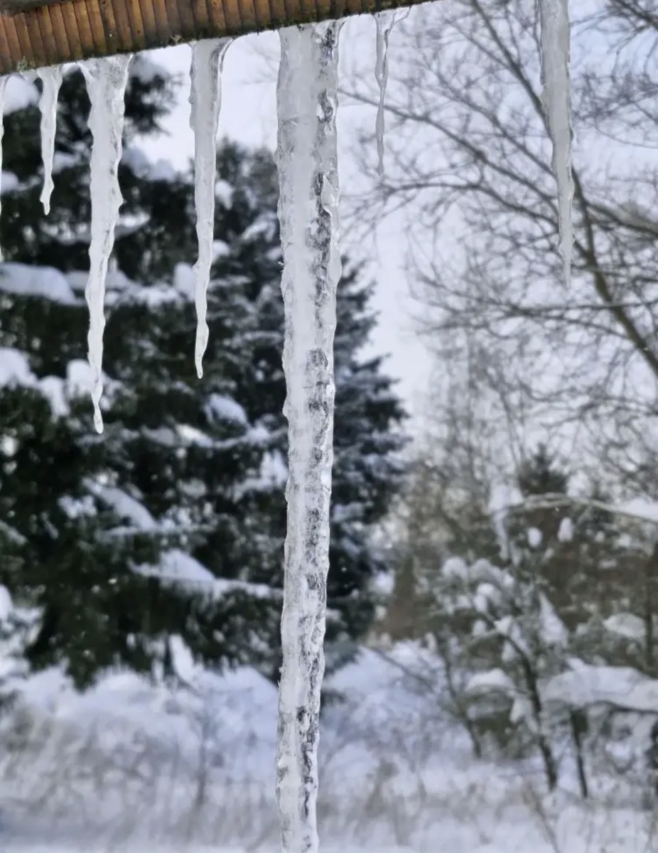 Тульская область