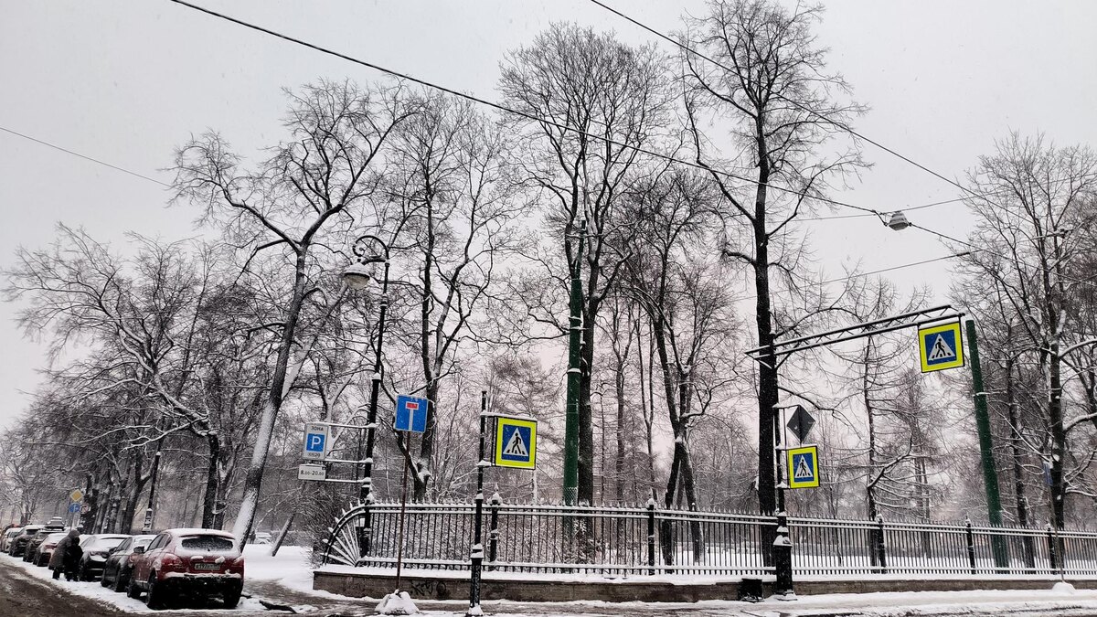    Фото: globallookpress.com/Maksim Konstantinov