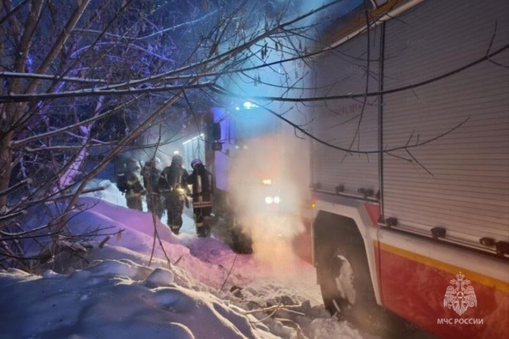    Фото ГУ МЧС по Новосибирской области