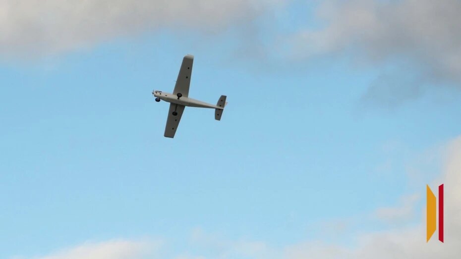    Автор фото: из архива РИА «Воронеж»